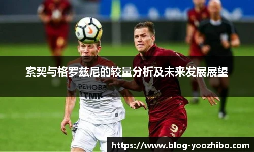 索契与格罗兹尼的较量分析及未来发展展望